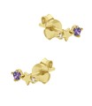 February Birthstone Silver Stud Earring STS-6797